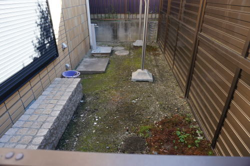 �O�\�e���X�{�H�O�ʐ^