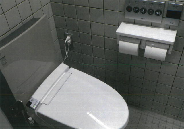 �q���ݔ��C�U�H��3